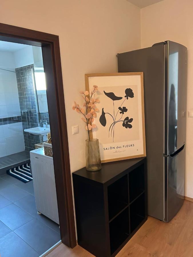 Apartman "Dunaj" Private Parking - Klimatizacia Šamorín エクステリア 写真