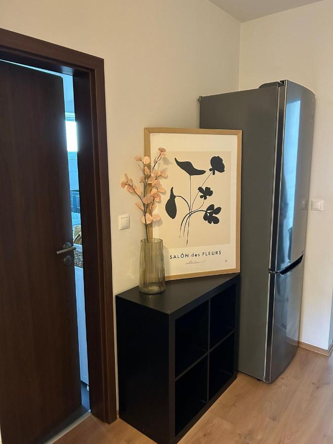 Apartman "Dunaj" Private Parking - Klimatizacia Šamorín エクステリア 写真